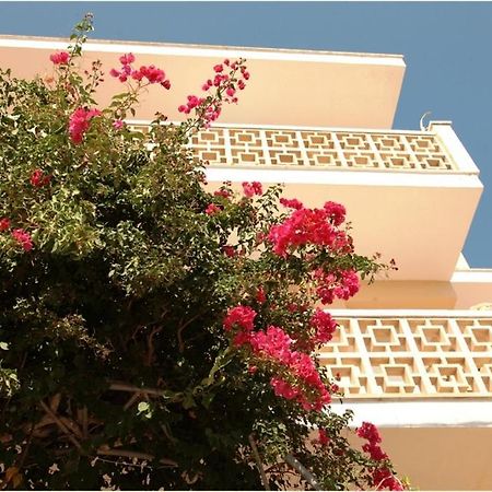 Casa De La Vida Hostel Сантаний Екстериор снимка